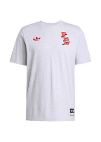 Adidas Fc Bayern München T-Shirt Herren - grau - Gr. M - Baumwolle