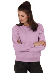 TRIGEMA Damen Sweatshirt "TRIGEMA Dünnes Sweatshirt", lila, Basic, Gr. XS, 50% Baumwolle, 50% Polyester, Sweatshirts