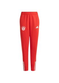 Adidas Fc Bayern München Trainingshose Kinder - rot - Gr. 176 - Polyester