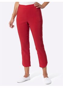 Classic Basics 7/8-Hose