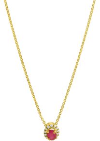 Firetti Damen Kette mit Anhänger "Schmuck Geschenk Gold 375 Halsschmuck Halskette Rund-Ankerkette", Gelbgold 375, L: 45cm, rot, Gelbgold 375,