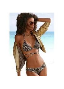 Triangel-Bikini Bruno Banani, Damen, Gr. 40, Cup C/D, braun (braun, bedruckt), Recycling-Polyamid, bedruckt, Bikini-Sets Triangel-Bikini, bedruckt mit langem Bindeband
