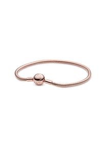 Pandora Armband Moments 580728-19