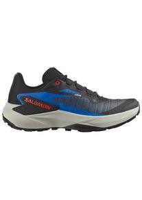 Salomon Genesis Trailrunningschuhe Herren Trailrunning (Gr 40 2/3 |grau)