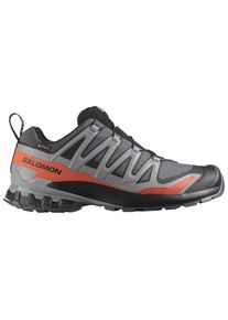 Trailrunningschuhe Salomon XA Pro 3D V9 GTX Herren (Gr 42 2/3 |grau |wasserdicht)