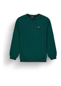 PICTURE Tofu Sweater Fleecepullover Herren Wandern (Gr S |grün)