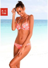 Sunseeker Damen Push-Up-Bikini-Top "Ditsy", orange, Gr. 34, geblümt, Microfaser, Polyamid, Bikini-Oberteile, mit Häkelkante
