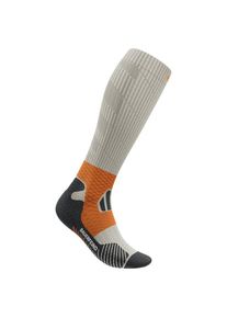 Bauerfeind Sports Trail Run Compression Socks Laufsocken Herren (Gr 46-49 - L: 41-46 cm |grau)