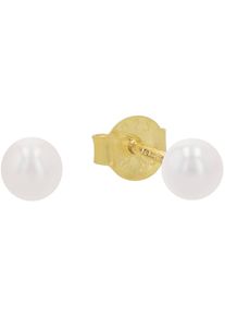 Amor Damen Paar Ohrstecker "Perlenohrringe, Trachtenschmuck, Volksfest, 2039232", Silber 925 (Sterlingsilber)-Perlen, gold, Silber 925