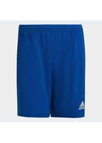 Herren Trainingsshorts "ENT22 SHO", blau, sportlich, Gr. M, adidas Performance, Obermaterial: 100% Polyester, Hosen
