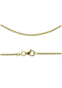 Firetti Damen Collierkettchen "Schmuck Geschenk Gold 333 oder 585 Ankerkettengl. in mehreren Breiten", 45, Gelbgold 333, B: 1,9mm, gold, Gelbgold