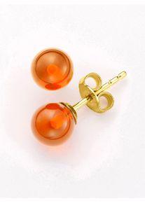 Lady Damen Paar Ohrstecker, Bernstein ct, Metall, gold, Metall, Ohrringe