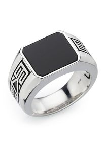 HECHTER PARIS Herren Fingerring "Schmuck Geschenk Silber 925 Herrenring Farbstein Edelstein", 60, Silber 925 (Sterlingsilber), 6mm, silber, Silber