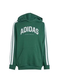 Adidas Collegiate Hoody Hoodie Kinder (Gr 140 |grün)