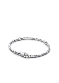 Pandora Armband Charm Holders 593681C00-18