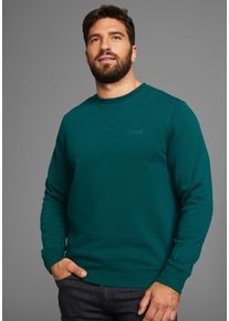 MAN'S WORLD MAN'S WORLD Herren Sweatshirt, grün, Basic, Gr. XL, unifarben, angeraute Sweatware, Obermaterial: 60% Baumwolle, 40% Polyester, Sweatshirts, Langarm,