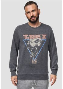 Recovered Herren Sweatshirt "Jurassic Park T-Rex 1993", grau, casual, Gr. M, bedruckt, 100% Baumwolle, Sweatshirts, mit coolem Jurassic Park-Print
