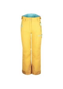 Skihose Trollkids Hallingdal Pant Kinder (Gr 104 |gelb |wasserdicht)