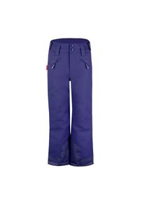 Trollkids Rauland Ski Pant Skihose Kinder Snowboard (Gr 176 |blau |wasserdicht)