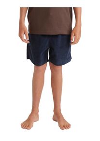 Quiksilver Kinder Bermudas "Taxer", blau, Gr. 14, 100% Baumwolle, Hosen