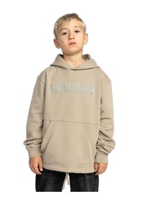 DC Shoes Kinder Hoodie "Mortar", beige, Gr. 14, [Hauptstoff] 100% Baumwolle, Sweatshirts