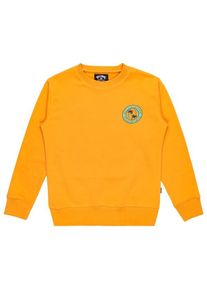 Pullove Billabong Foundation CR Kinder (Gr 12 |orange)