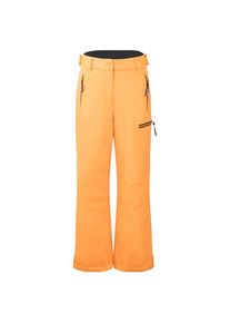 Trollkids Hallingdal Pant Skihose Kinder (Gr 176 |orange |wasserdicht)