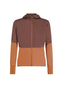 Woll- & Merinojacke Icebreaker Merino 200 Realfleece Descender L/S Zip Hoodie Herren (Gr XL |braun)