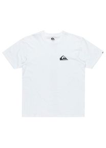 T-Shirt Quiksilver EV Mini Logo S/S Herren (Gr L |weiß)