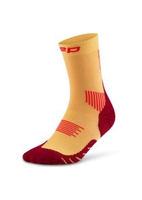 Multifunktionssocken CEP Run Socks Mid Cut 5.0 Damen (Gr II |beige)