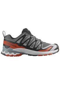 Multisportschuhe Salomon XA Pro 3D V9 Herren (Gr 44 2/3 |grau)