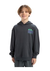Quiksilver Kinder Hoodie "APOG Heritage", grau, Gr. 8, [Hauptstoff] 55% Baumwolle, 45% Polyester, Sweatshirts