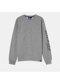 Dickies Herren Kapuzensweatshirt "Dickies Workwear Sweatshirt OKEMO GRAPHIC SWEATSHIRT", grau, Gr. M, Obermaterial: 80% Baumwolle, 20% Polyester,