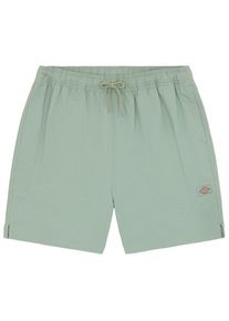 Shorts Dickies Pelican Rapids Herren (Gr XL |türkis)