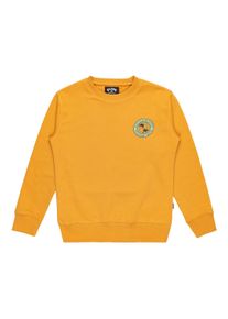 Billabong Kinder Sweatshirt "Foundation", gelb, Gr. S, 55% Baumwolle, 25% Baumwolle, 20% Polyester, Sweatshirts