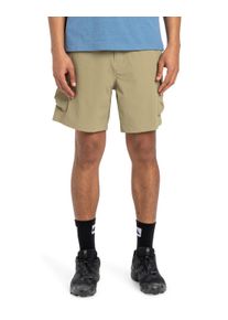 Quiksilver Herren Cargoshorts "Run Ashore", grün, Gr. S, 51% Nylon, 36% Nylon, 13% Elasthan, Hosen