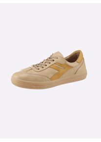 Andrea Conti Damen Sneaker, Gr. 40, braun, Leder, Rindsleder, Glattleder, modisch, Schuhe