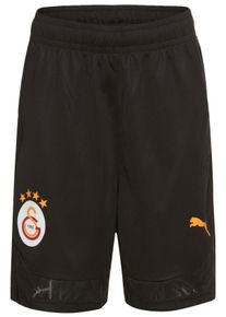 Puma Herren Trainingsshorts "GSK TRAINING SHORTS", schwarz, sportlich, Gr. S, unifarben, Web, Obermaterial: 100% Polyester, Hosen, Galatasaray