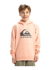 Quiksilver Kinder Hoodie "Big Logo", orange, Gr. 14, [Hauptstoff] 55% Baumwolle, 45% Polyester, Sweatshirts