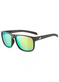 Sonnenbrille Alpina Nacan III Mirror Cat. 3 (bunt)