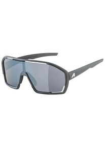 Alpina Bonfire Cat. 3 Fahrradbrille Bikepacking (grau)