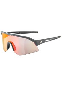 Alpina Sonic HR QV Mirror Cat 1-3 Fahrradbrille (bunt)