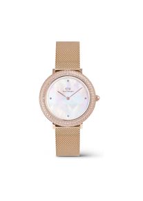 Daniel Wellington Damenuhr Crystalline Bezel DW.DW00100823