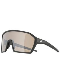 Alpina Ram Q-Lite V Photochromic S1-3 Fahrradbrille (grau)