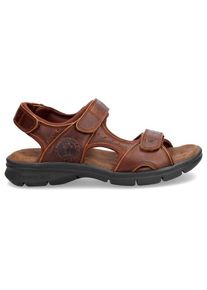 Panama Jack Salton Basics C4 Sandalen Herren (Gr 45 |braun)