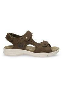 Panama Jack Salton C39 Sandalen Herren (Gr 41 |braun)