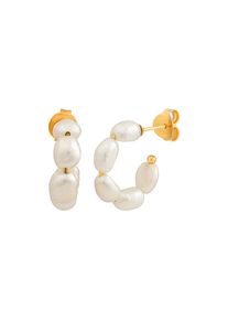 CAI Ca&iuml; Creolen 274210149V