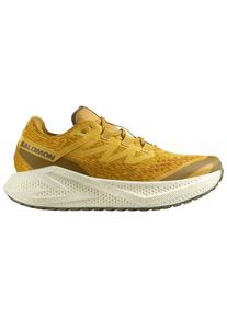 Salomon Aero Glide 3 GRVL Runningschuhe Men (Gr 49 1/3 |beige)