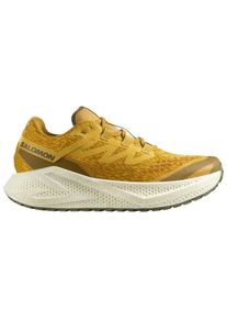 Salomon Aero Glide 3 GRVL Runningschuhe Men (Gr 48 |beige)