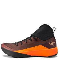 Arc'teryx Trailrunningschuhe Arc'teryx Vertex Speed Herren (Gr 41 1/3 |braun)
